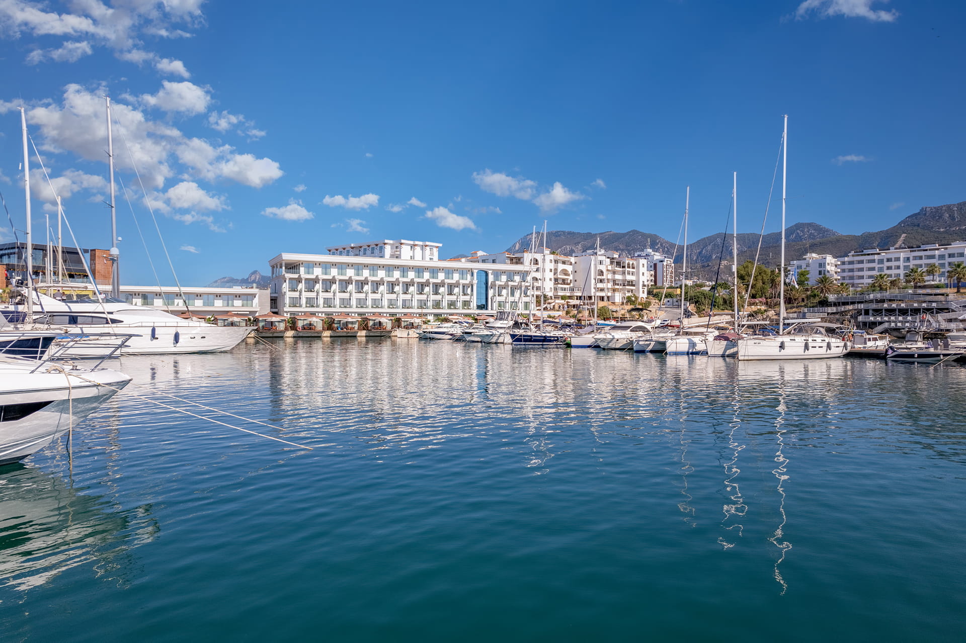 Lesa-Genel-Marina-03-Orta_Boyut